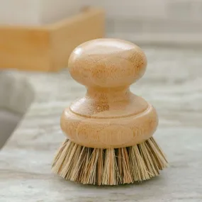 CASA AGAVE™ Pot Scrubber Brush