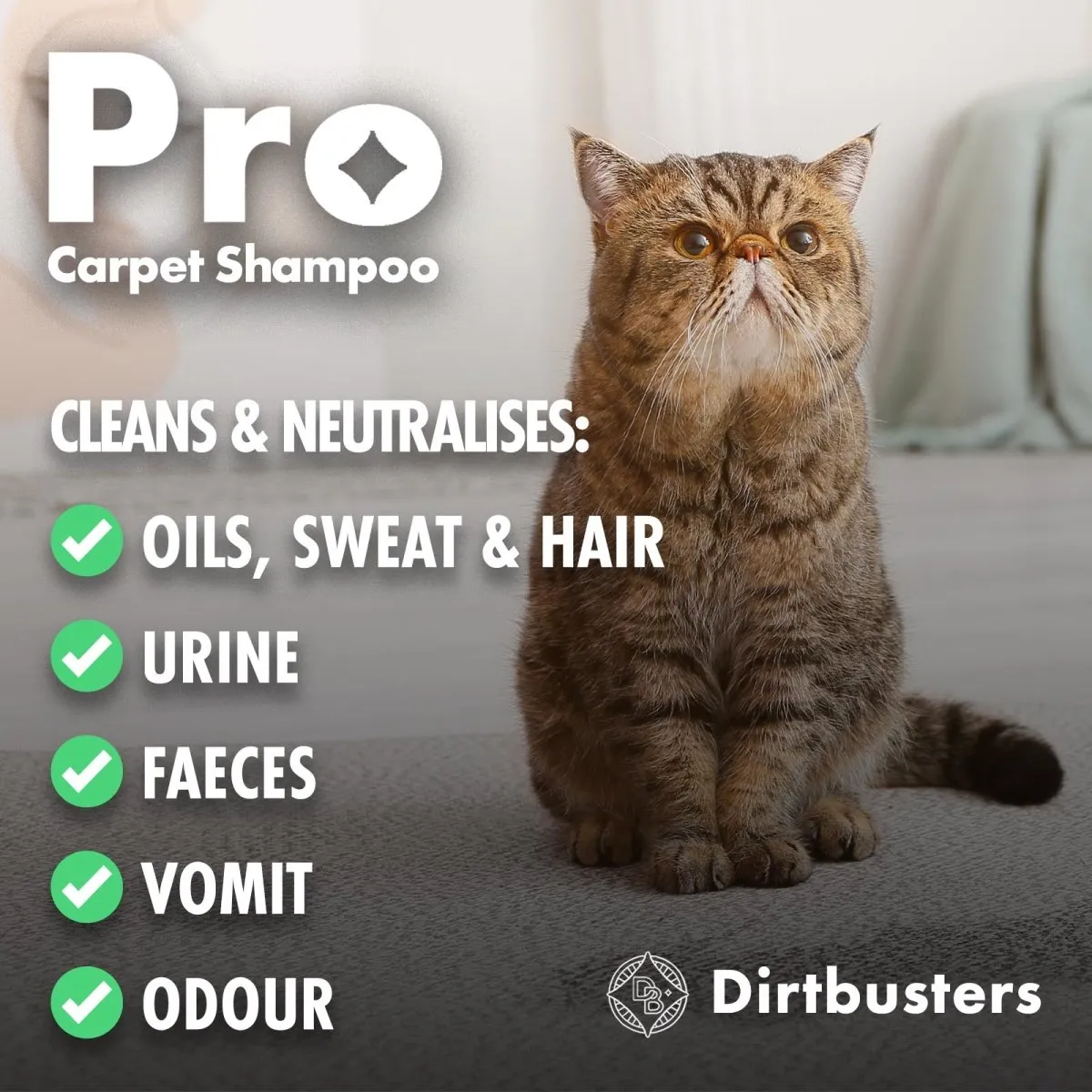 Dirtbusters Pro Carpet Cleaner Shampoo, Deep Clean & Neutralise Powerful Professional Standard Cleaning Solution With Odour Neutraliser (5L)