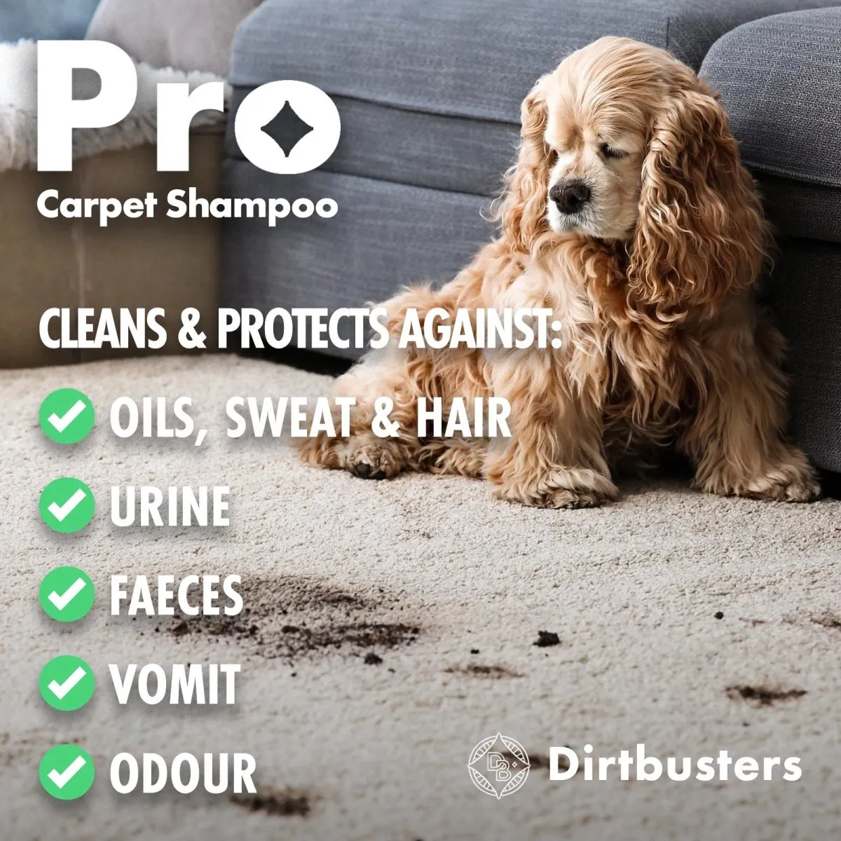 Dirtbusters Pro Carpet Cleaner Shampoo, Powerful Professional Deep Clean & Protect Cleaning Solution with Stain Protection Technology & Odour Treatment (5L)