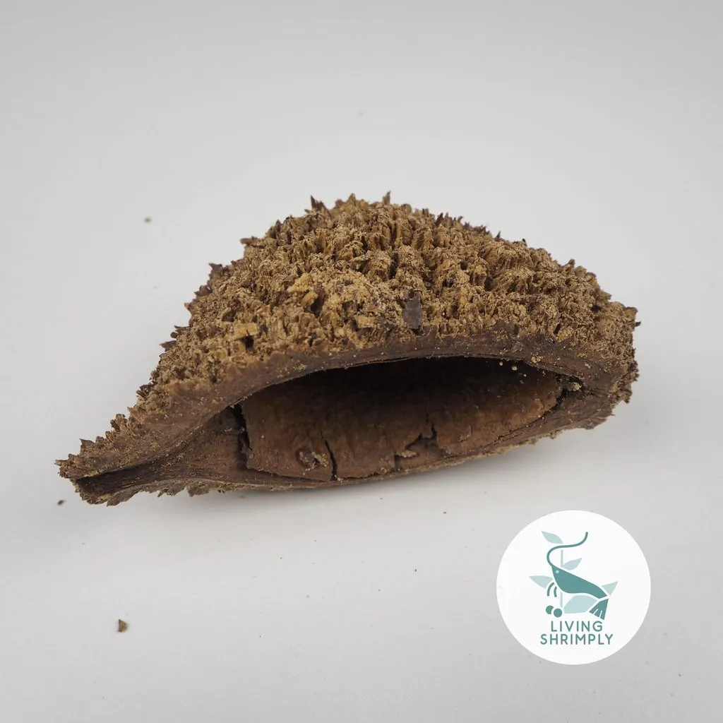 [NEW IN] All Natural Dried Pods Feed For Shrimps