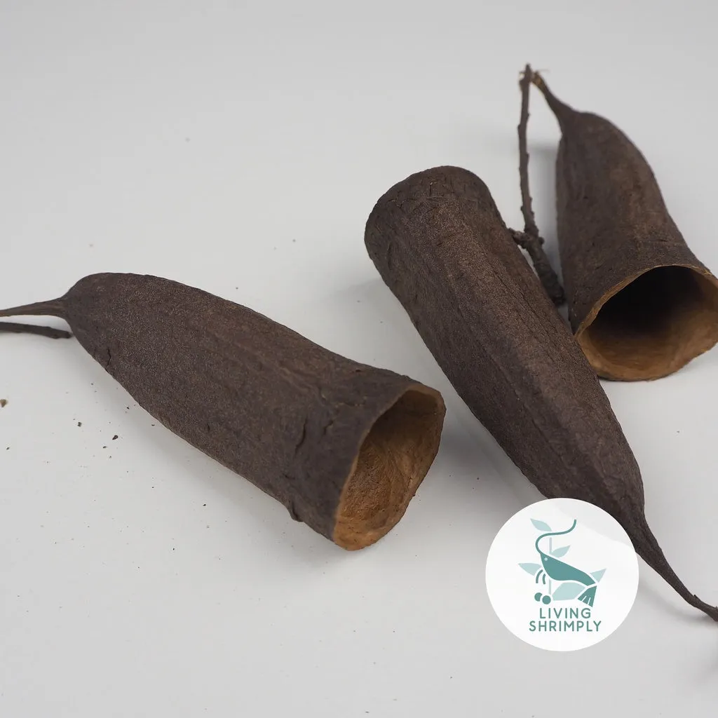 [NEW IN] All Natural Dried Pods Feed For Shrimps