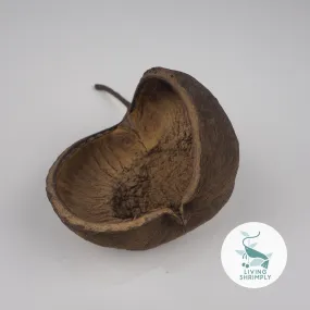 [NEW IN] All Natural Dried Pods Feed For Shrimps