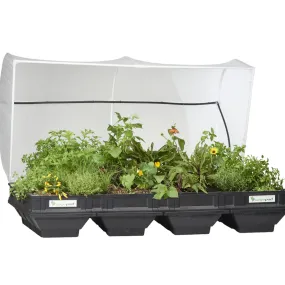 Vegepod Raised Garden Bed With Vegecover Large 2mx1m