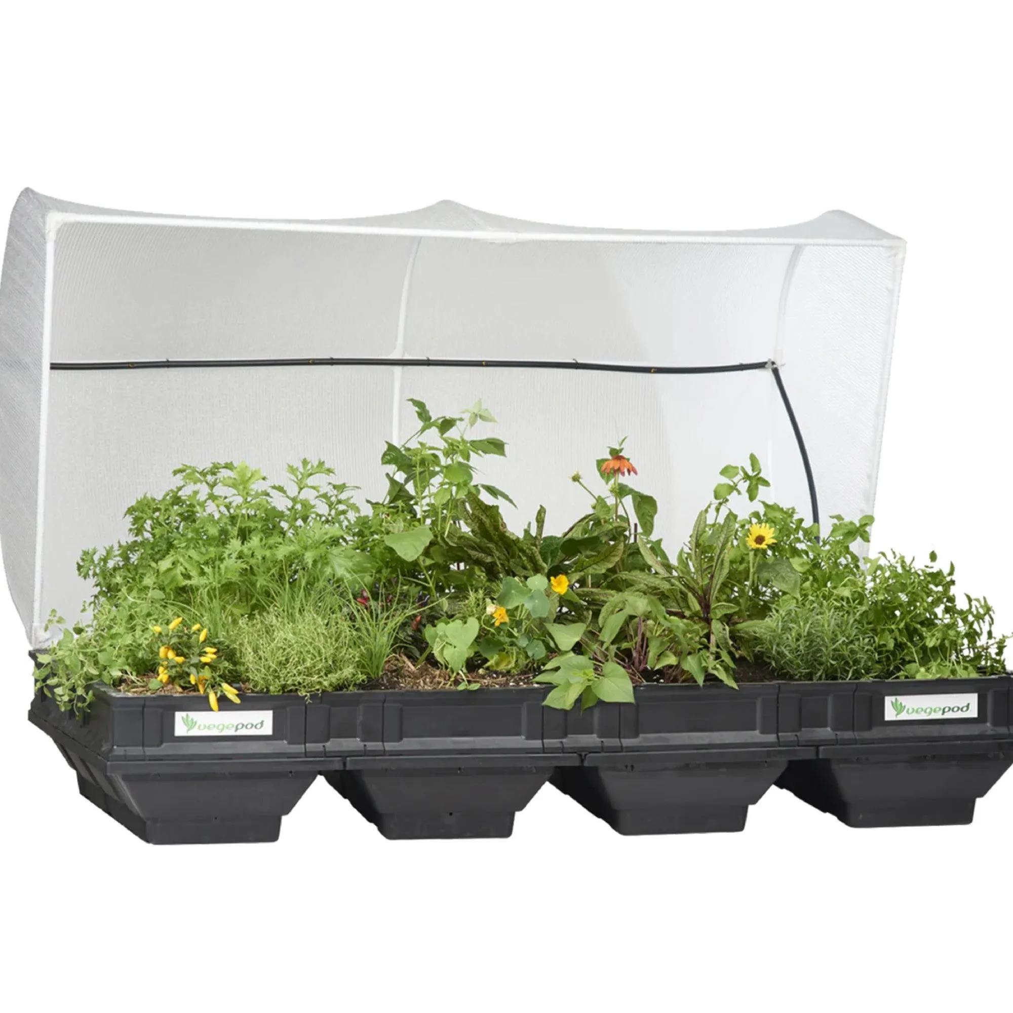 Vegepod Raised Garden Bed With Vegecover Large 2mx1m