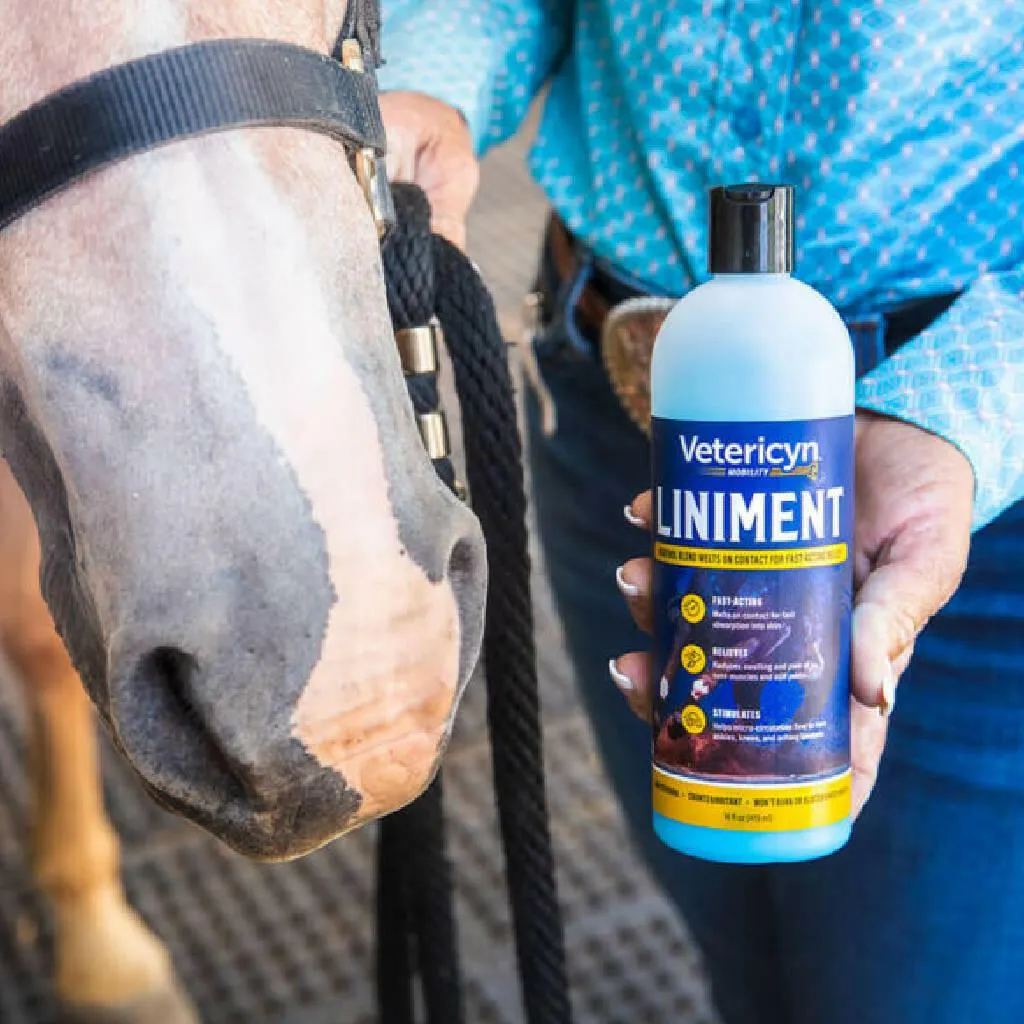 Vetericyn Mobility Equine Liniment Treatment